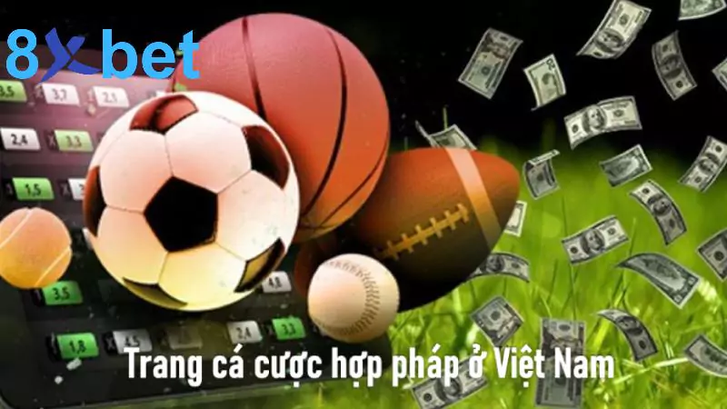 Top 5 Trang cá cược hợp pháp ở Việt Nam uy tín nhất 5 Trang cá cược hợp pháp ở Việt Nam uy tín nhất