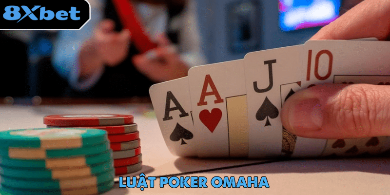 Luật Poker – Hành Trình Trở Thành Cao Thủ Game Bài 2 Luật Poker Omaha có cấu trúc chơi tương tự Texas Hold’em